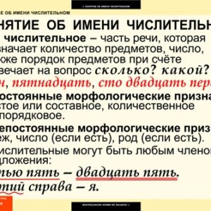 Комплект таблиц "Числительное и местоимение"