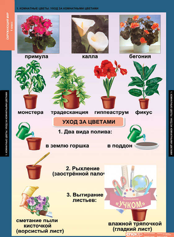 Комплект таблиц "Окружающий мир 1 класс"