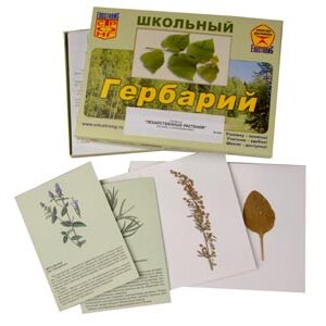 Гербарий "Лекарственные растения "