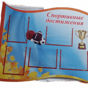 Спортивные достижения