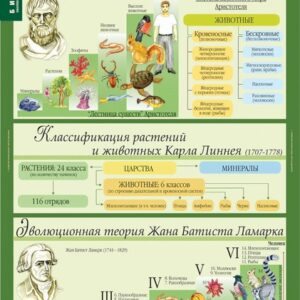 Комплект таблиц "Биология. Эволюционное учение 10-11 класс"