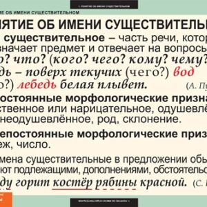 Комплект таблиц "Имя существительное"