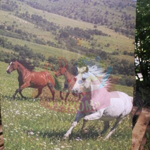 Постер в класс Эффективно животноводство современные корма