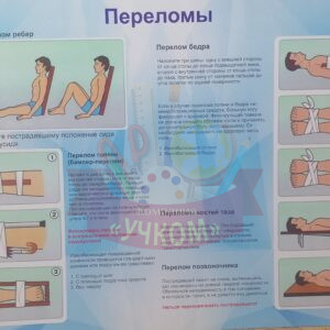 Стенд "Оказание первой медицинской помощи.Переломы"